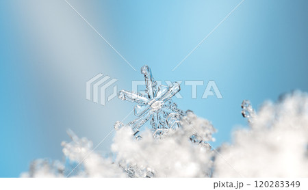 snowflake, little snowflake on the snow 120283349