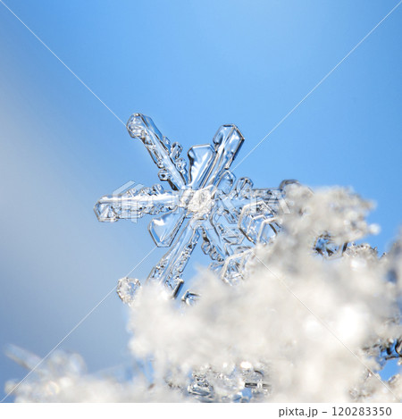 snowflake, little snowflake on the snow snowflake, little snowflake on the snow 120283350