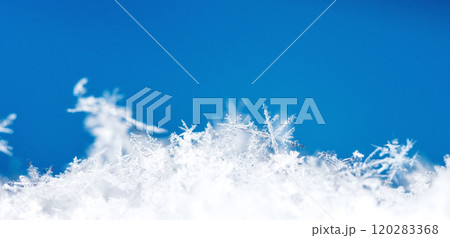 natural snowflakes on snow. the picture is made at a temperature of-10 C natural snowflakes on snow. the picture is made at a temperature of-10 C 120283368
