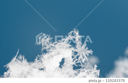 natural snowflakes on snow. the picture is made at a temperature of-10 C  120283370