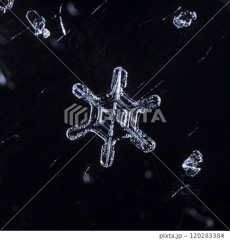 natural snowflakes on snow. the picture is made at a temperature of-10 C  120283384