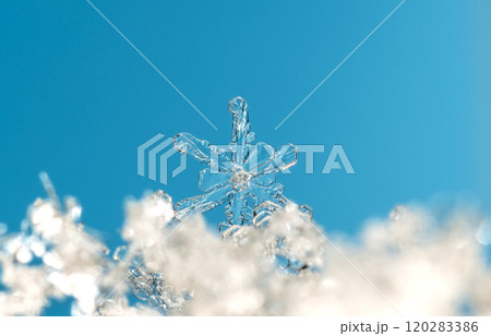 natural snowflakes on snow. the picture is made at a temperature of-10 C  120283386