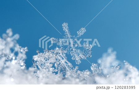natural snowflakes on snow. the picture is made at a temperature of-10 C  120283395