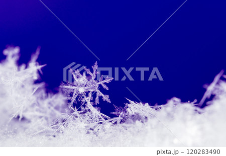 photo real snowflakes during a snowfall, under natural conditions at low temperature photo real snowflakes during a snowfall, under natural conditions at low temperature 120283490