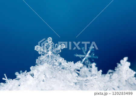 photo real snowflakes during a snowfall, under natural conditions at low temperature 120283499