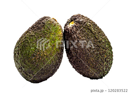 Avocado fruit isolated on white background	 120283522