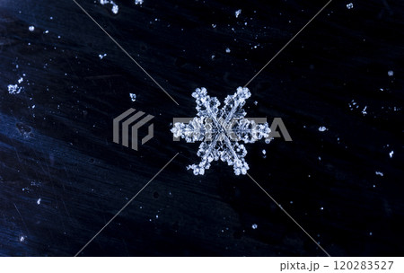 natural snowflakes, photo real snowflakes during a snowfall, under natural conditions at low temperature 120283527