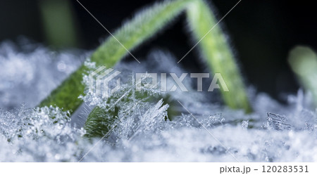 natural snowflakes, photo real snowflakes during a snowfall, under natural conditions at low temperature 120283531