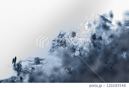natural snowflakes, photo real snowflakes during a snowfall, under natural conditions at low temperature natural snowflakes, photo real snowflakes during a snowfall, under natural conditions at low temperature 120283548