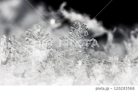 natural snowflakes, photo real snowflakes during a snowfall, under natural conditions at low temperature 120283568