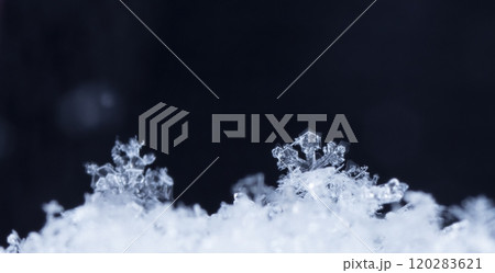 snowflake, little snowflake on the snow 120283621