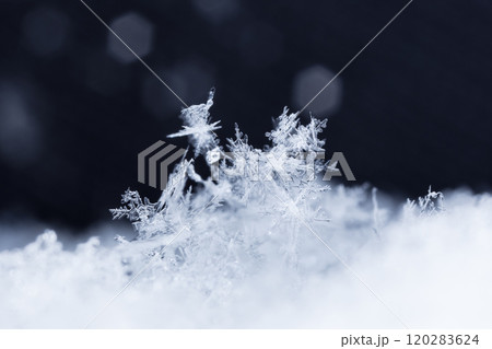 snowflake, little snowflake on the snow 120283624