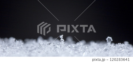 snowflake, little snowflake on the snow 120283641