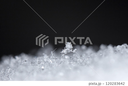 snowflake, little snowflake on the snow 120283642