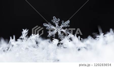 snowflake, little snowflake on the snow snowflake, little snowflake on the snow 120283654