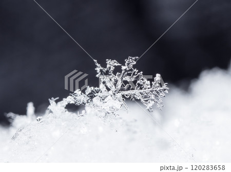 snowflake, little snowflake on the snow 120283658