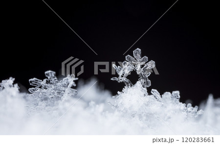 snowflake, little snowflake on the snow snowflake, little snowflake on the snow 120283661