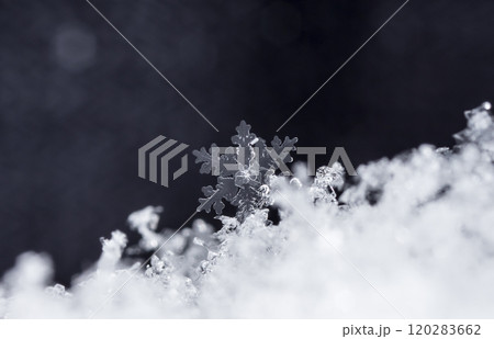 snowflake, little snowflake on the snow 120283662