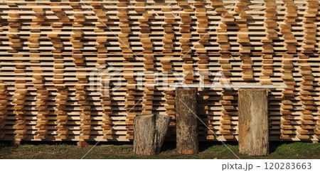 bench made of two tree stumps and a board standing next to a textured wall made of end grain planed boards in natural sunlight, background texture on the theme of forest processing 120283663