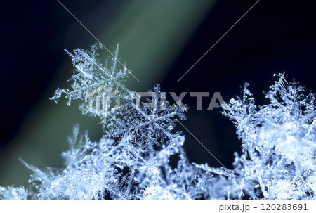 natural snowflakes on snow, winter natural snowflakes on snow, winter 120283691