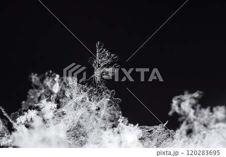 natural snowflakes on snow, winter 120283695