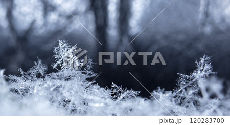 natural snowflakes on snow, winter natural snowflakes on snow, winter 120283700