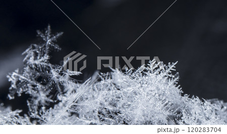 natural snowflakes on snow, winter natural snowflakes on snow, winter 120283704