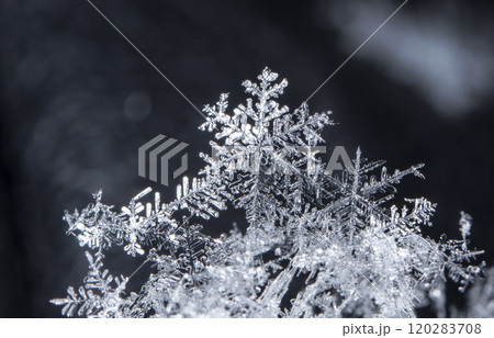 natural snowflakes on snow, winter 120283708