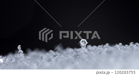 snowflake, little snowflake on the snow 120283755