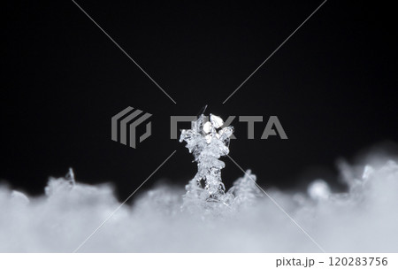 snowflake, little snowflake on the snow 120283756