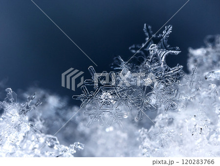 snowflake, little snowflake on the snow snowflake, little snowflake on the snow 120283766
