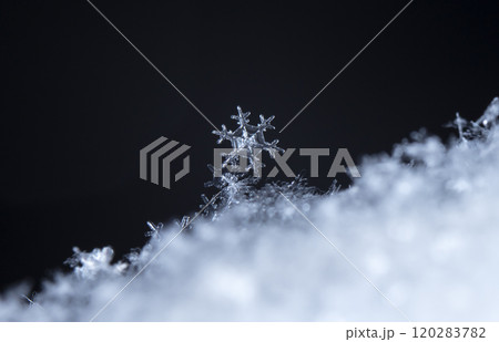 snowflake, little snowflake on the snow 120283782