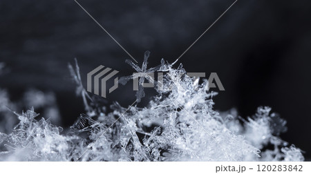 natural snowflakes on snow, winter 120283842