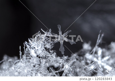 natural snowflakes on snow, winter 120283843