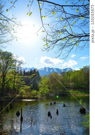 秋山郷　天池（長野県） 120283875