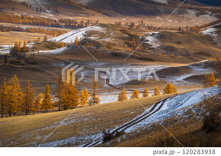 Scenic view of Altai Mountains with autumn trees and winding roads 120283938