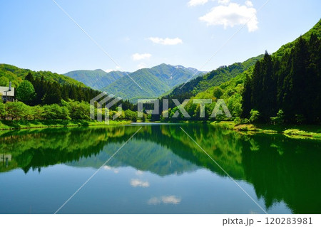 新緑の加茂水源地（新潟県） 120283981
