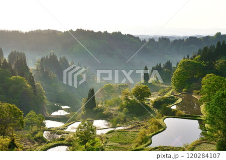 蒲生の棚田（新潟県） 120284107