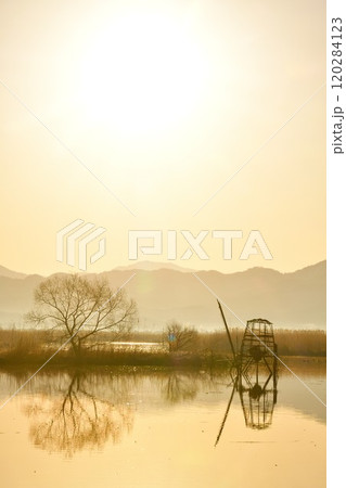 朝の福島潟（新潟県） 120284123