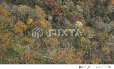 大山紅葉ドローン空撮03 大山紅葉ドローン空撮03 120284280