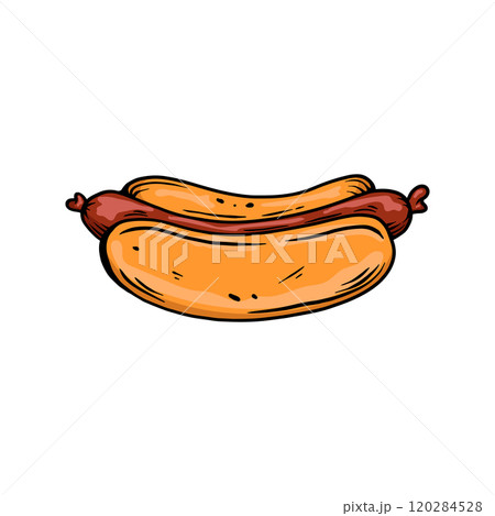 Illustration of hot dog with sausage. Fast food. Design element for poster, menu, banner, sign. Vector illustration 120284528