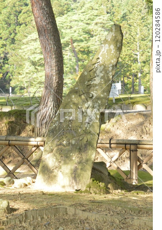 「夏草や 兵どもが 夢の跡」の芭蕉句碑（毛越寺･浄土庭園／岩手県西磐井郡平泉町） 120284586