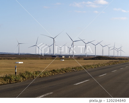 オトンルイ風力発電所 120284840
