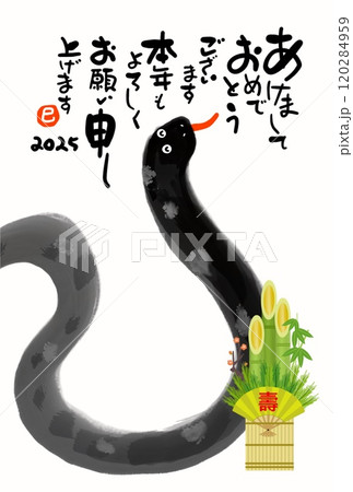 巳年年賀状 巳年年賀状 120284959