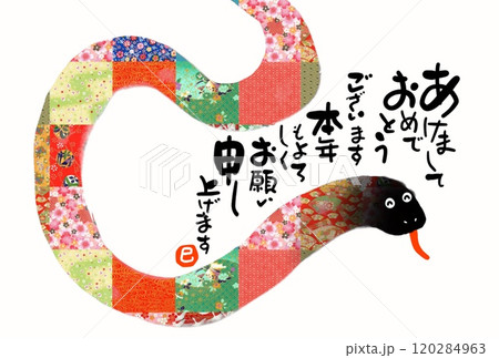 巳年年賀状 巳年年賀状 120284963