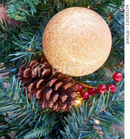 Christmas background with tree branches 120285174