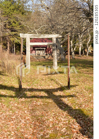 晩秋の北海道森町で宿野辺神社の風景を撮影 晩秋の北海道森町で宿野辺神社の風景を撮影 120285305