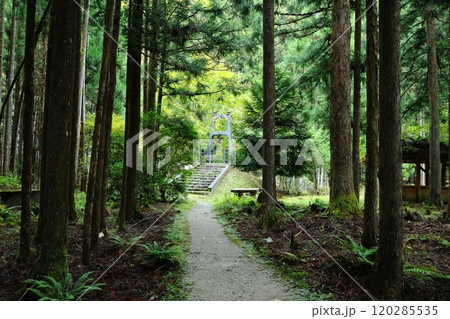 『 蟷螂(とうろう)の岩屋 』【洞川自然研究路散策コース 】/ 奈良県天川村洞川(どろがわ) 『 蟷螂(とうろう)の岩屋 』【洞川自然研究路散策コース 】/ 奈良県天川村洞川(どろがわ) 120285535