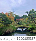 向島百花園からみたスカイツリー 120285587