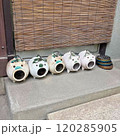 豚の蚊取り線香入れ 120285905